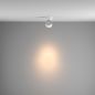 Preview: 24° spot light distribution for lighting accents