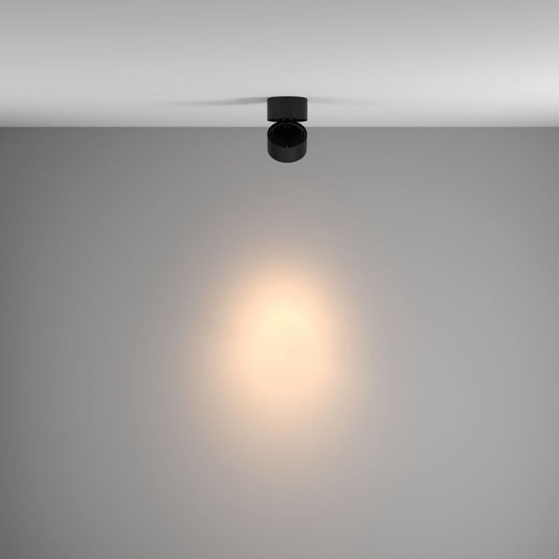 24° spot light distribution for lighting accents