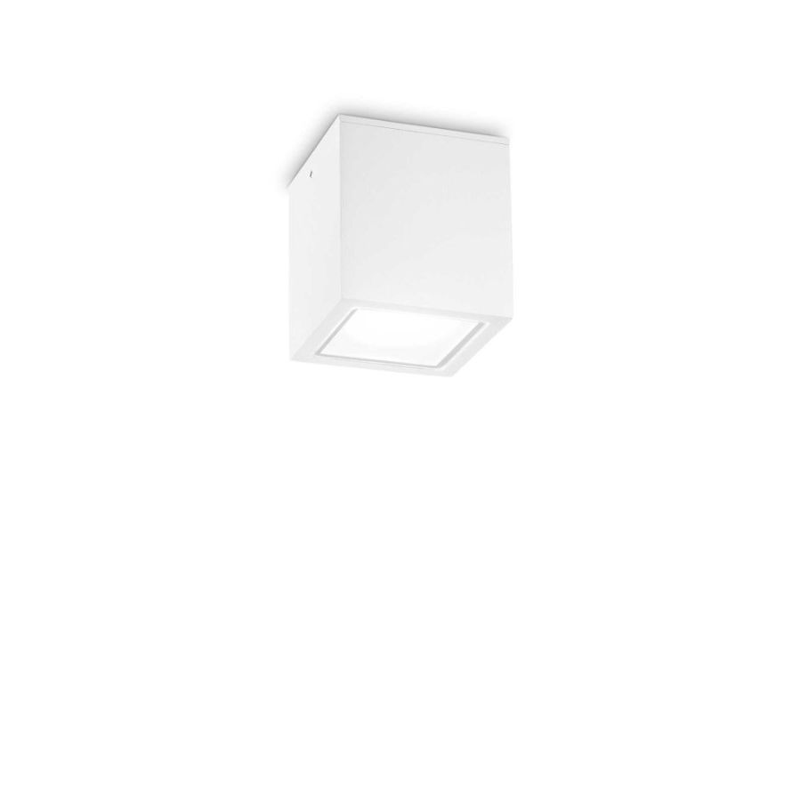 Ceiling spotlight white