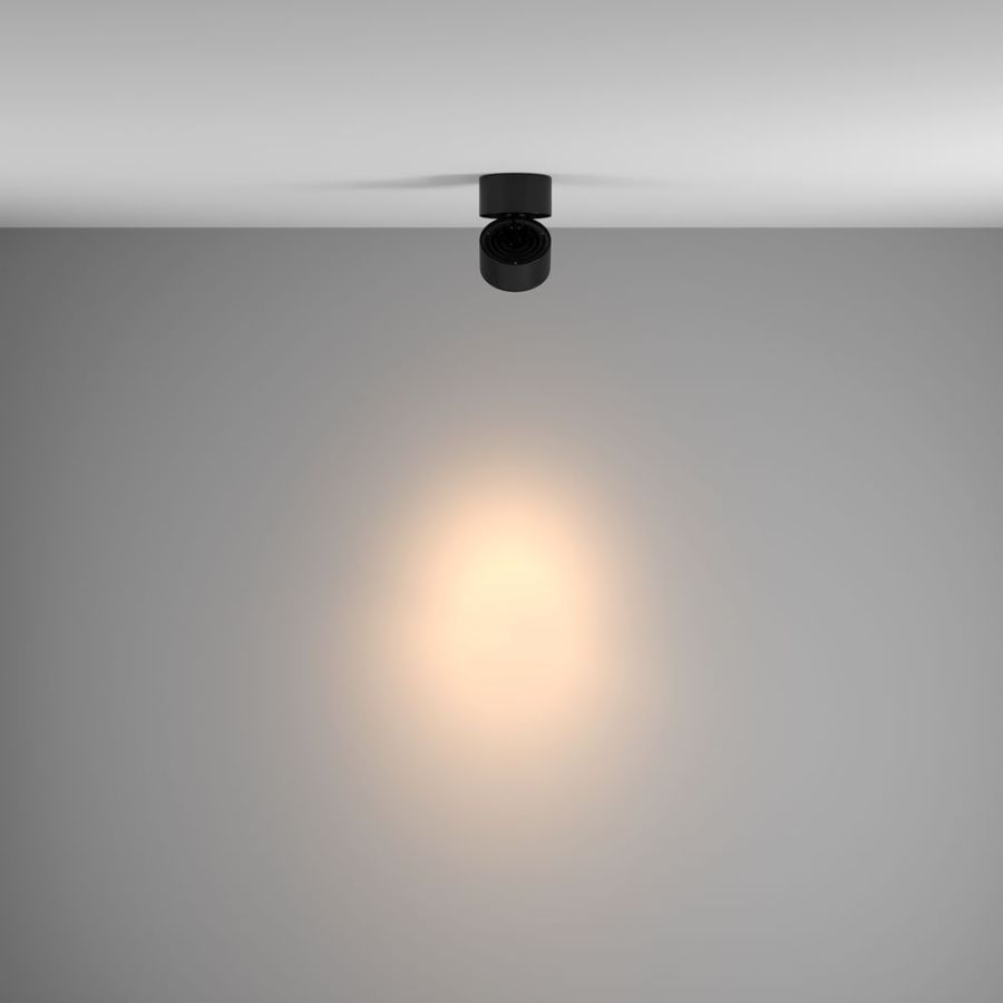 24° spot light distribution for lighting accents