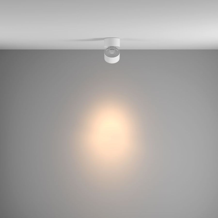 24° spot light distribution for lighting accents